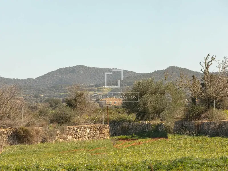 Spacious traditional Mallorcan country house for renovation, distributed over two floors, with several rooms, several small bathrooms, kitchen — photo 3