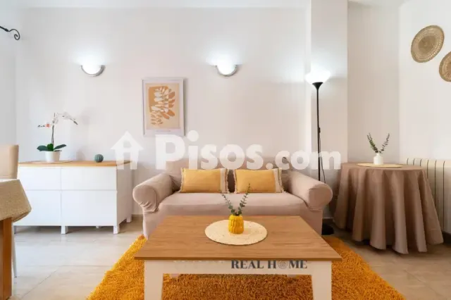 Apartment in Camp Redó — photo 1