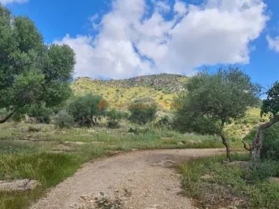 House for sale in a very quiet area 4km from Sant Llorenç — photo 12