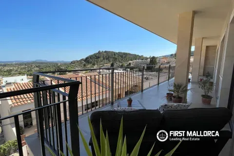 Apartment in Selva, Mallorca — photo 8