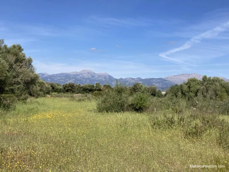 Building plot for a private family house with views over the Bay of Alcudia — photo 5