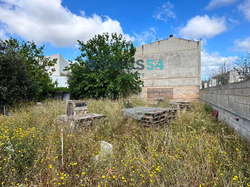 plot in Sa Pobla — photo 4
