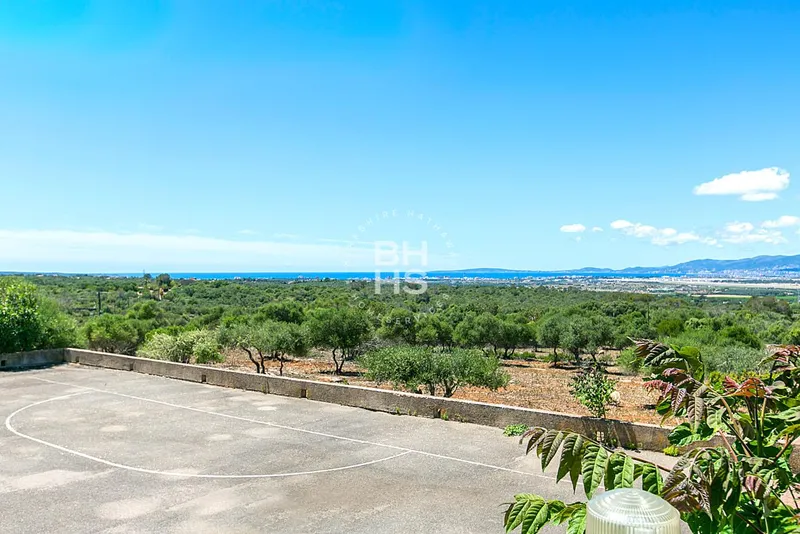 Rustic Finca for sale in Sant Jordi — photo 2