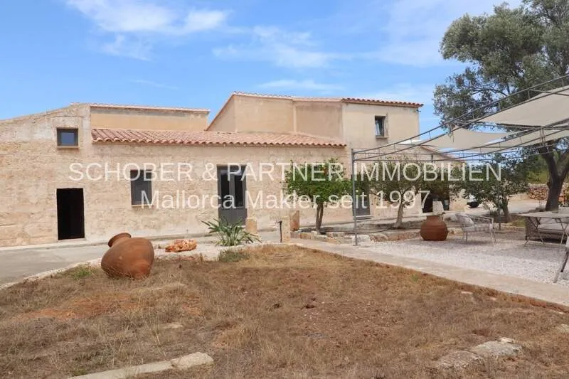 5,000 m² finca with 6 bedrooms, 3 bathrooms and conservatory for sale — photo 4