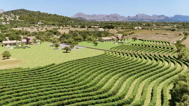 Pollensa Plot for sale with building license and project ready to start in 2025 — photo 5