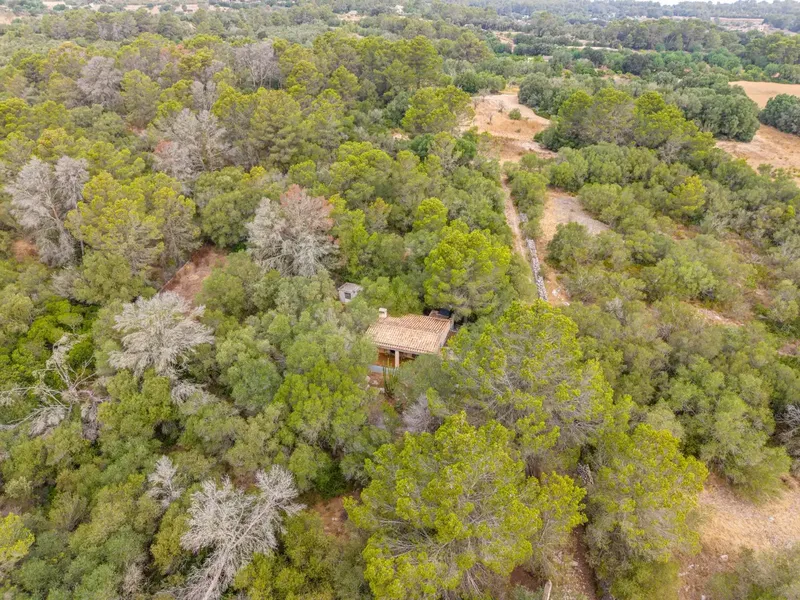 If you are looking for a refuge to enjoy the tranquility of the Mallorcan countryside, surrounded by nature and with excellent connections, this pro — photo 2