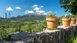 Rustic Finca for sale in Escorca — photo 3