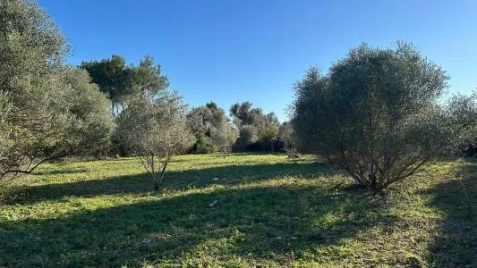 Plot of land - Selva, Plot Surface 14711m² — photo 9