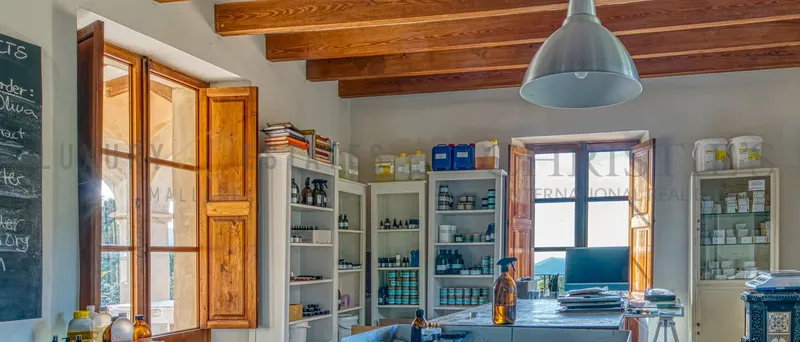 Traditional finca in Andratx with mountain and sea views — photo 10