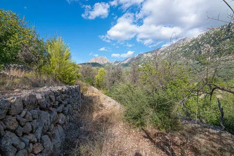Country house in Fornalutx, Mallorca — photo 6
