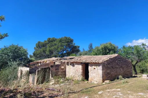 Alaró, finca project in a stunning hill landscape with mountain views near Alaró — photo 4