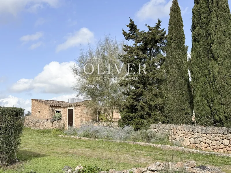 Rustic finca in Algaida — photo 7
