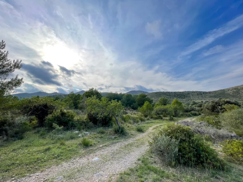 Exceptional buildable rustic plot with sea views — photo 1