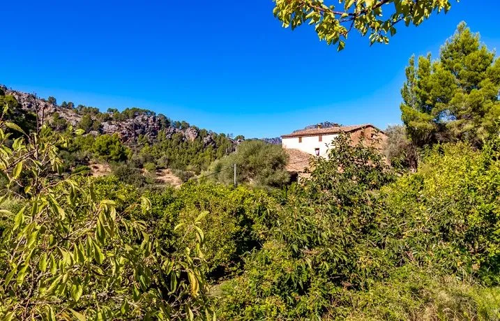Mallorcan finca in idyllic area of Soller — photo 10