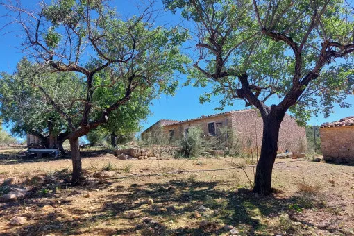 Alaró, finca project in a stunning hill landscape with mountain views near Alaró — photo 7