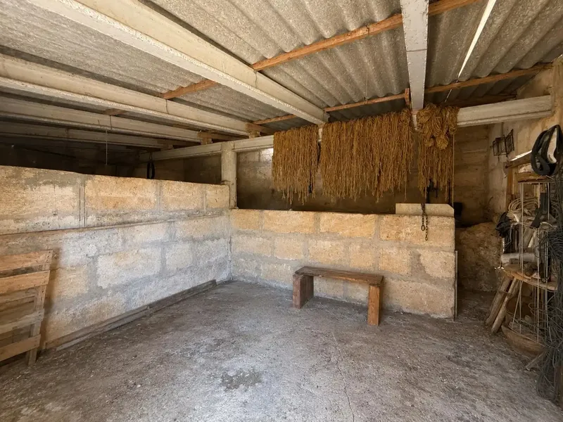 Rustic finca located a few minutes from the town center, in a quiet environment surrounded by nature. — photo 5