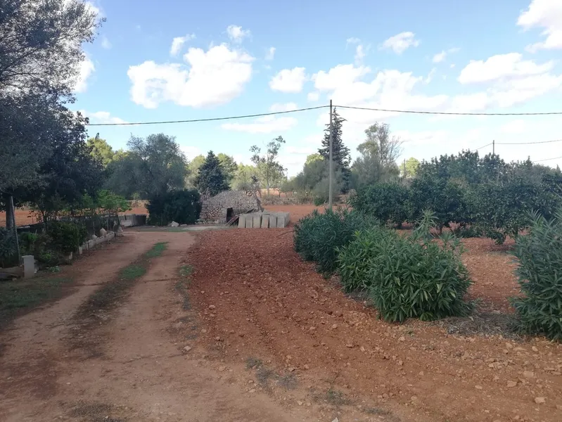 Buildable rustic plot. Fully fenced — photo 11