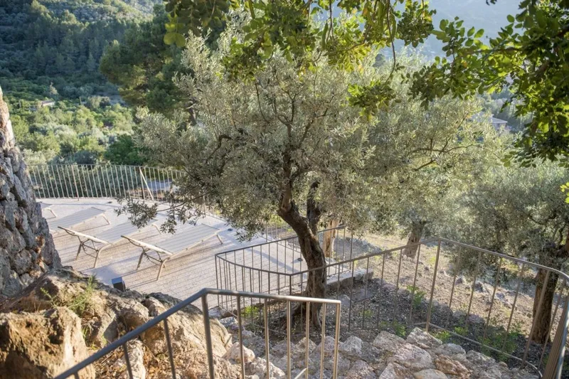 Finca with dream views in Soller for weekly rent - Marcel Remus Real Estate — photo 2