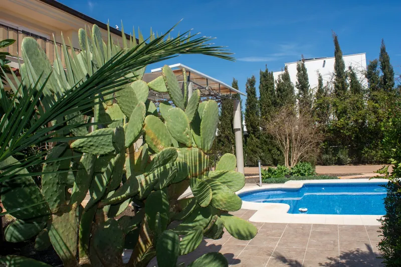 Dream villa with pool in Sa Coma — photo 3