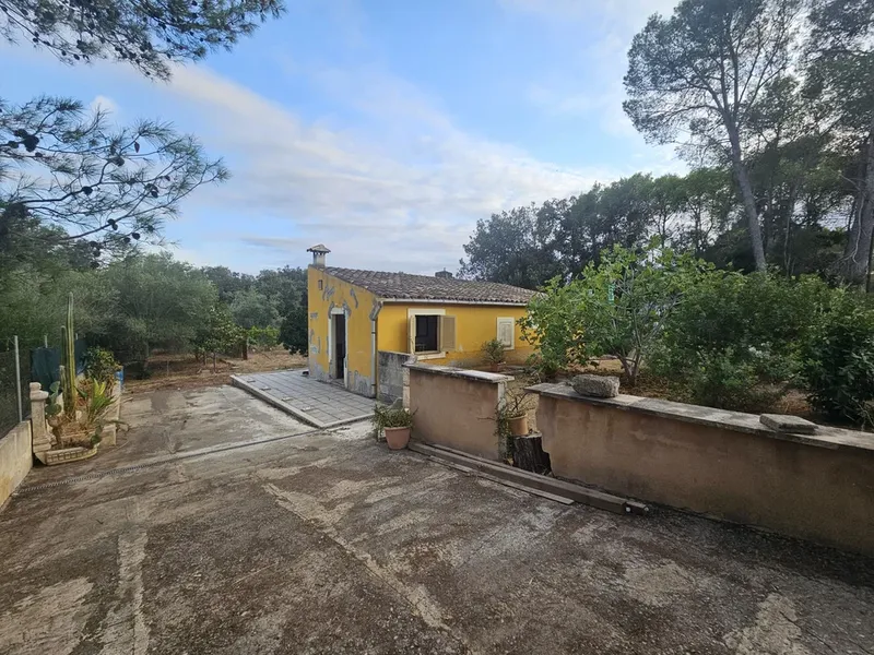Finca in Sa Pobla, Mallorca — photo 2