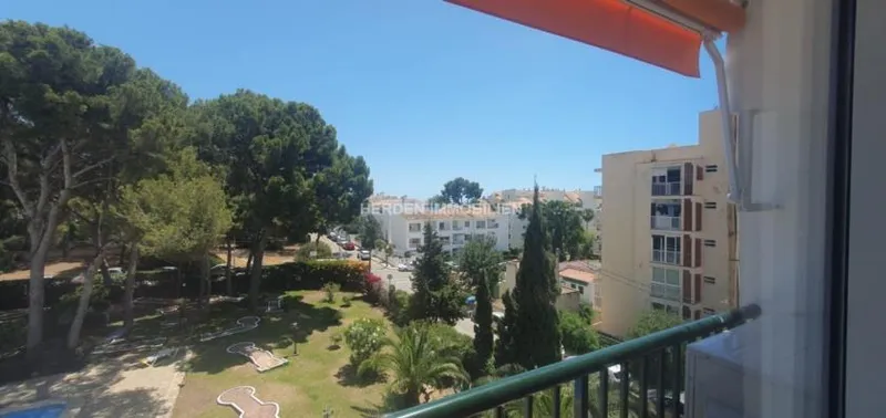 Long Term Rental Apartment Palmanova Mallorca — photo 4
