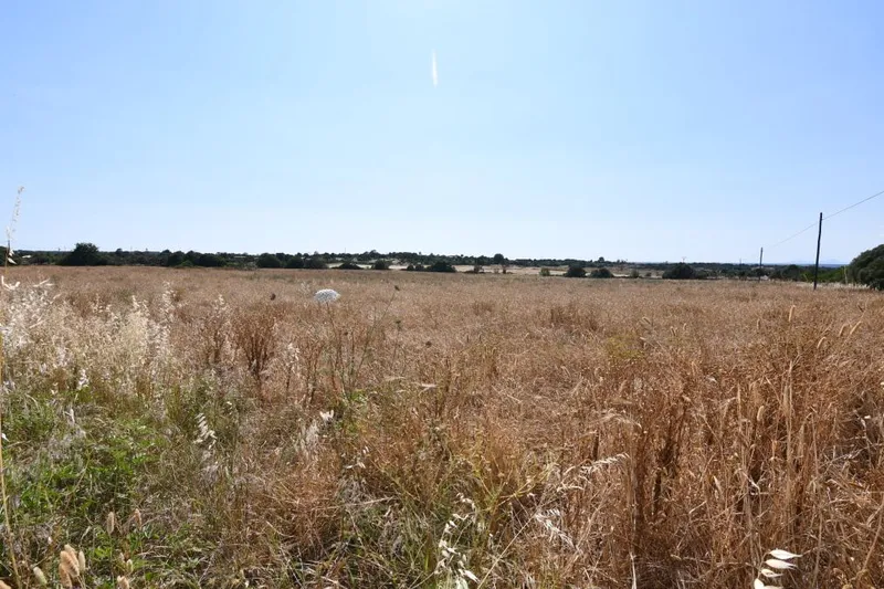 Plot with an existing building of 240m2 on the outskirts of Ses Salines — photo 3