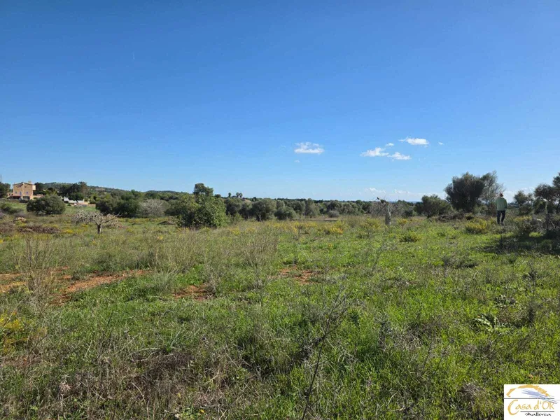 Beautiful building plot with panoramic views and innovative finca project near Porto Cristo — photo 3