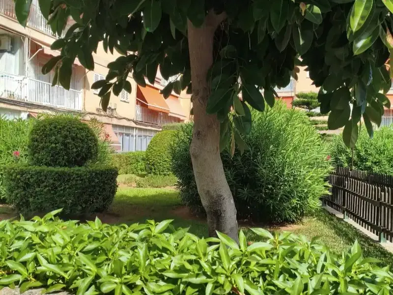 Bright flat with unobstructed mountain views and communal garden in Can Pastilla — photo 4