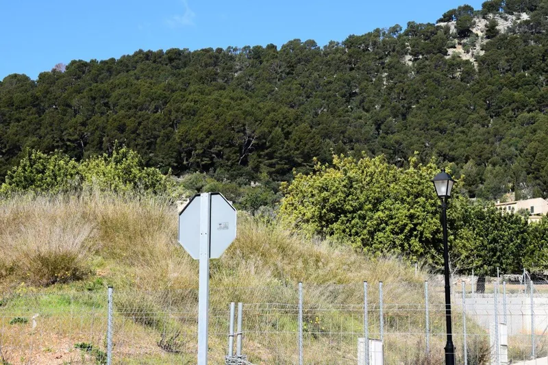 Plot to build two single-family homes in Alaró — photo 7
