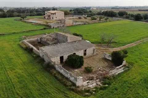 Land in Sa Pobla, Mallorca — photo 11