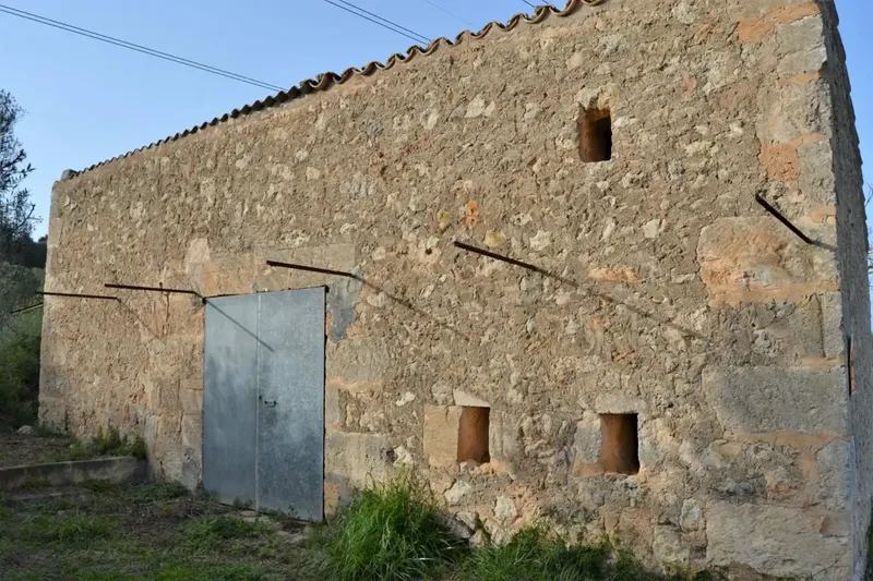 Fantastic estate of 23270 m2 located in General Rustic Land, for sale in Muro with incredible views of the Bay of Alcudia — photo 10