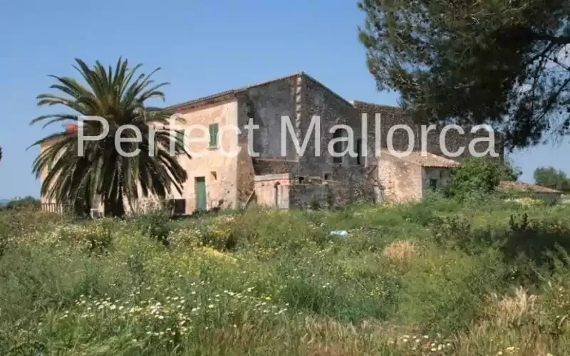 Majorcan country estate near Villafranca de Bonany — photo 5