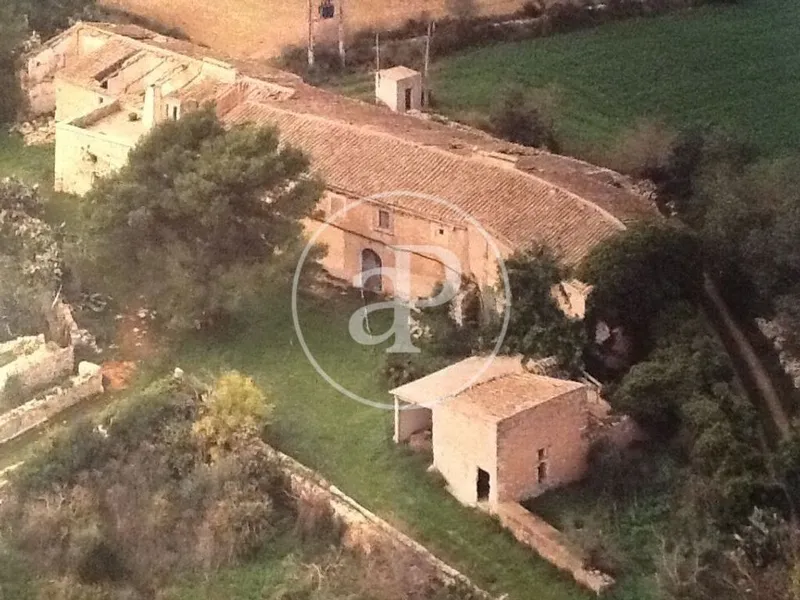 Farmhouse in Felanitx, Province of Balearic Islands — photo 11
