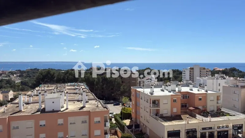 Penthouse in Cala Major — photo 2