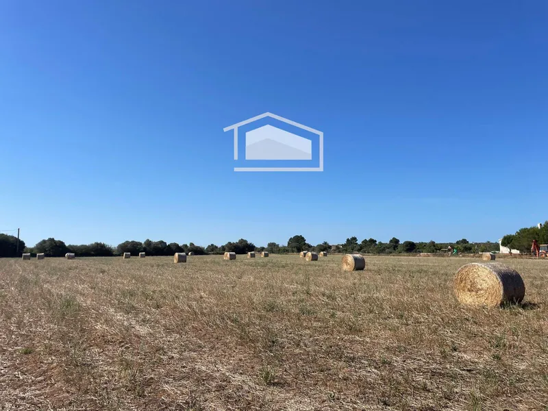 Rustic buildable finca in Campos with water, electricity and asphalt access — photo 5