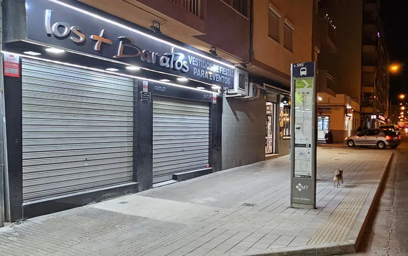Local in Palma — photo 1
