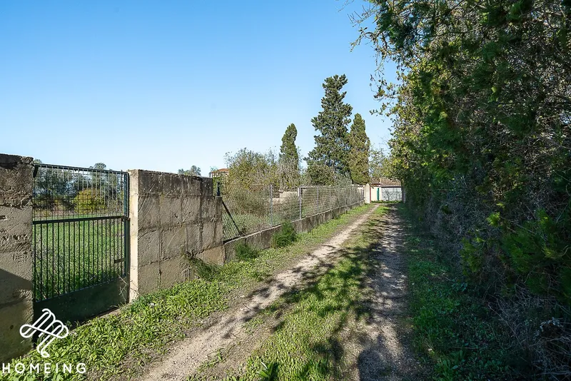 Rustic finca with electricity and own well water, near the beaches of Alcudia Bay — photo 12