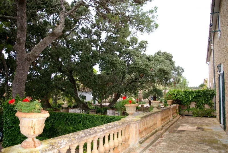 Century old manor house in green huge plot — photo 3
