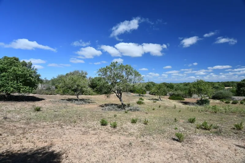 Beautiful hillside plot with panoramic views near Cas Concos - Es Carritxo — photo 3