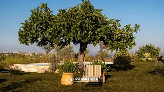 Finca/Country House for sale in Moscari, Selva — photo 6