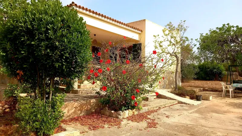 Coqueta casa unifamiliar de 81 m² de una planta orientada al sur en terreno de 860 m² y jardín con árboles. — photo 1