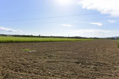 Land in Manacor — photo 8