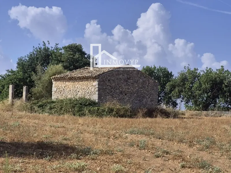 Cannot be extended. Has vein well. 3 plots of land for sale with a total of 11,675.91 m². On these plots there is a small house — photo 11