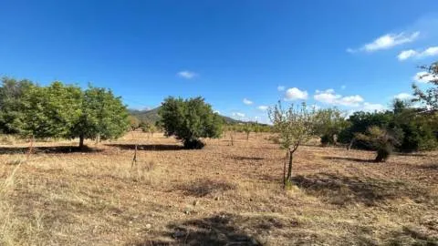 Terreno — photo 5