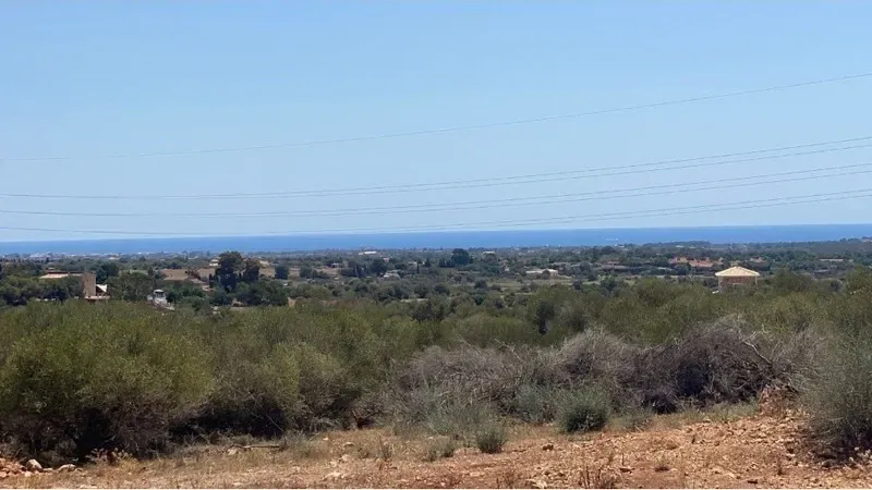 Plot+License in a spectacular location with lots of privacy and seaviews in Portocristo, on the east of Majorca. — photo 6