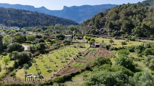 Single family house - Sóller (Puerto de Soller) — photo 10