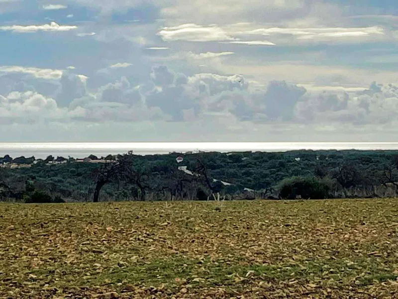 Finca with license and wide sea views in the Cala Murada area — photo 10