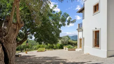 Rustic finca in Es Camp Redó — photo 4