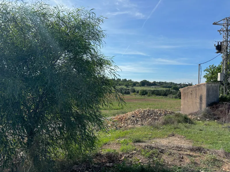 House / Chalet in Manacor — photo 4