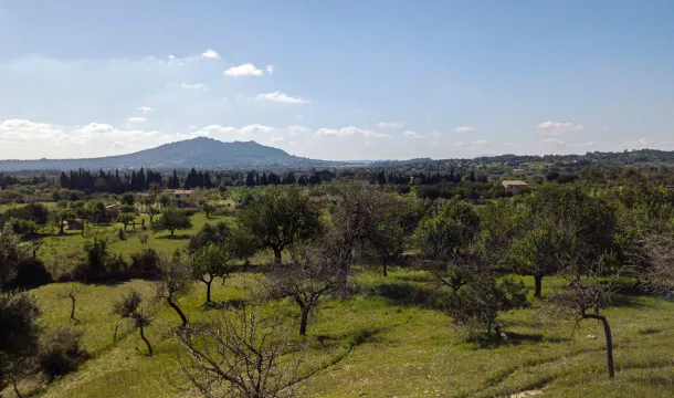 A Haven in the Tramuntana: Plot with Project and License Ready to Build — photo 12